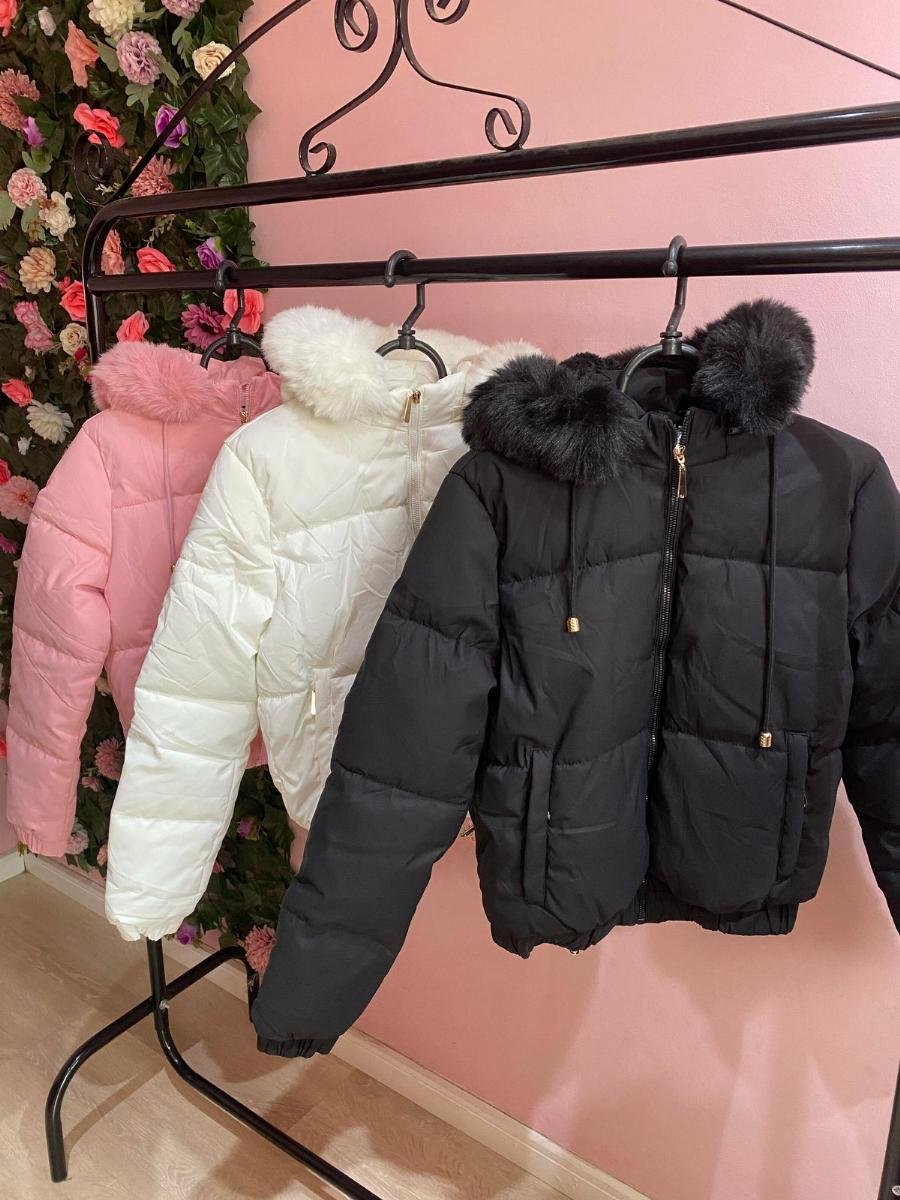 65215_1723574347957-1.jpg Rosa